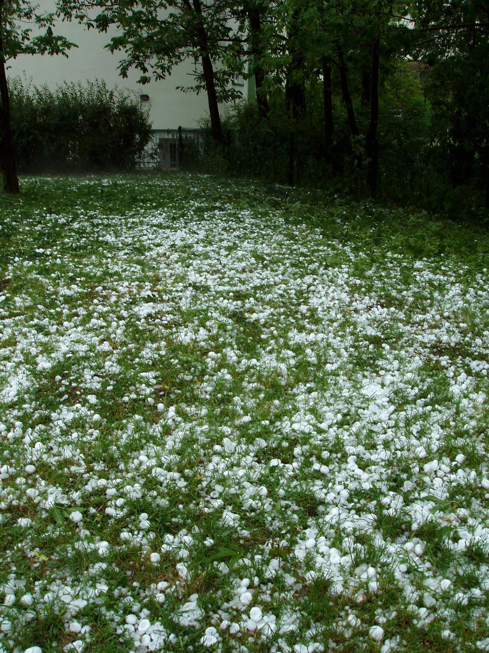 Ground covered in hail after a severe storm, the kind of scene that starts a Brisbane insurance file