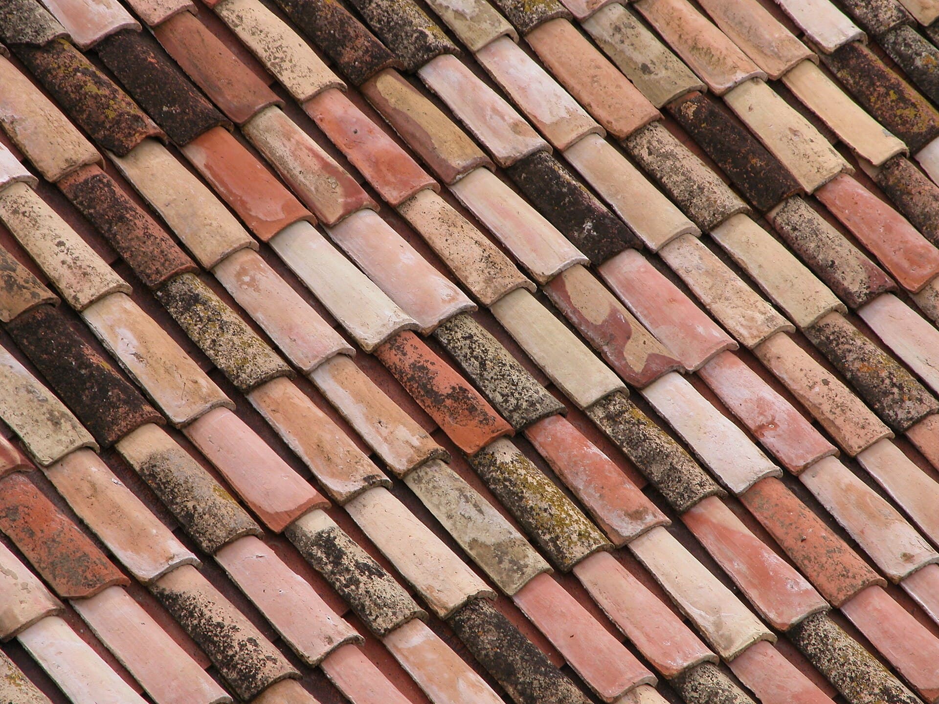 Close view of terracotta roof tiles, their fired colour and profile typical of older Brisbane houses